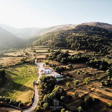 Tenuta Bianca Agriresort Sanza 외부 사진